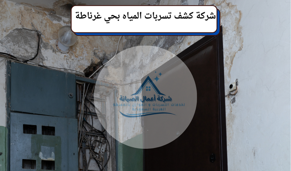 شركة كشف تسربات المياه بحي غرناطة